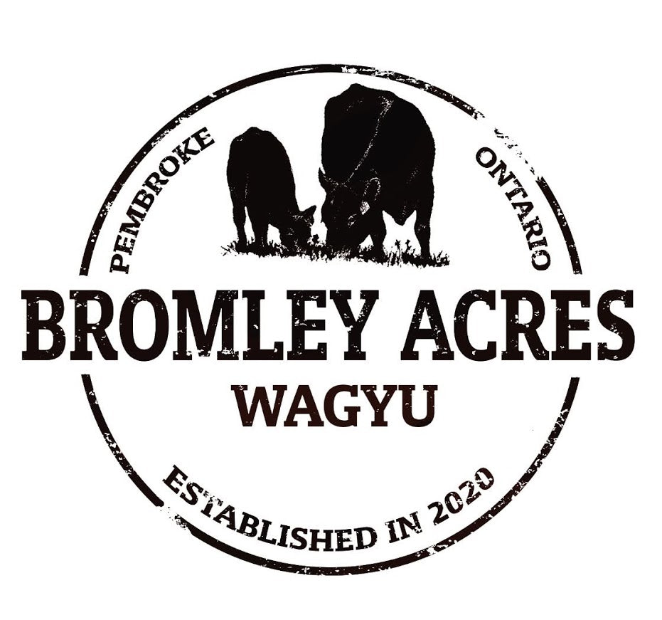 Bromley Acres Wagyu Farm Pembroke, Ontario bromleyacreswagyu